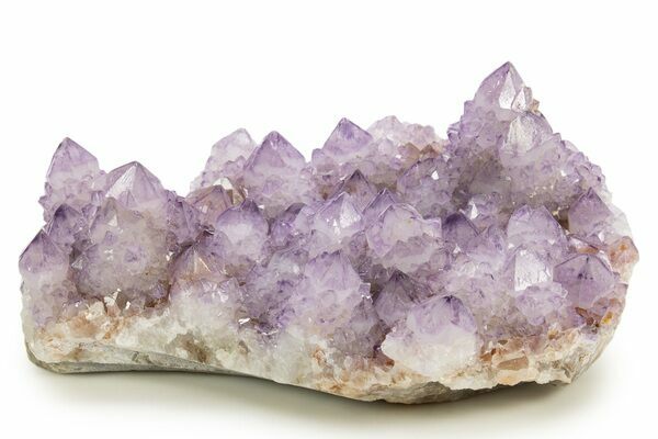 Shop Cactus Amethyst Crystals